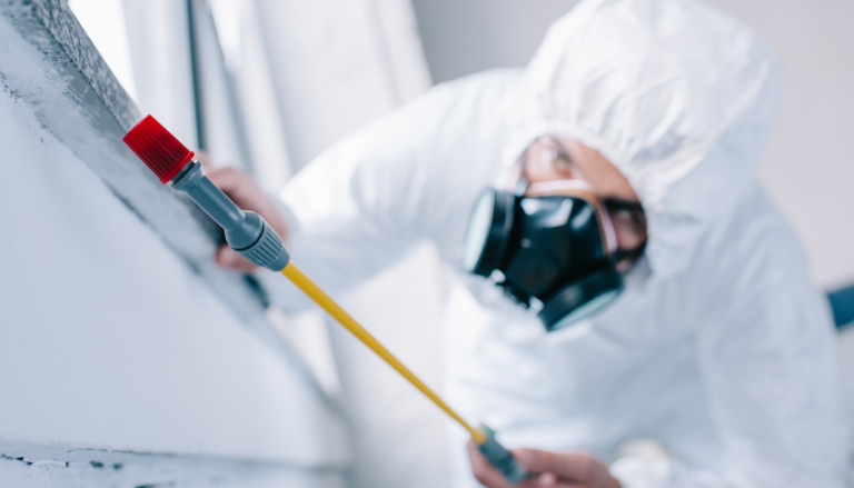 Safe Pest Management Tips for a Pest-Free Environment