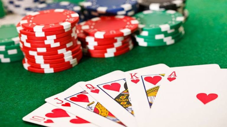 Why the Krikya App is a Must-Have for Bettors