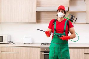 Ultimate Guide to Effective Termite Pest Control in Sydney